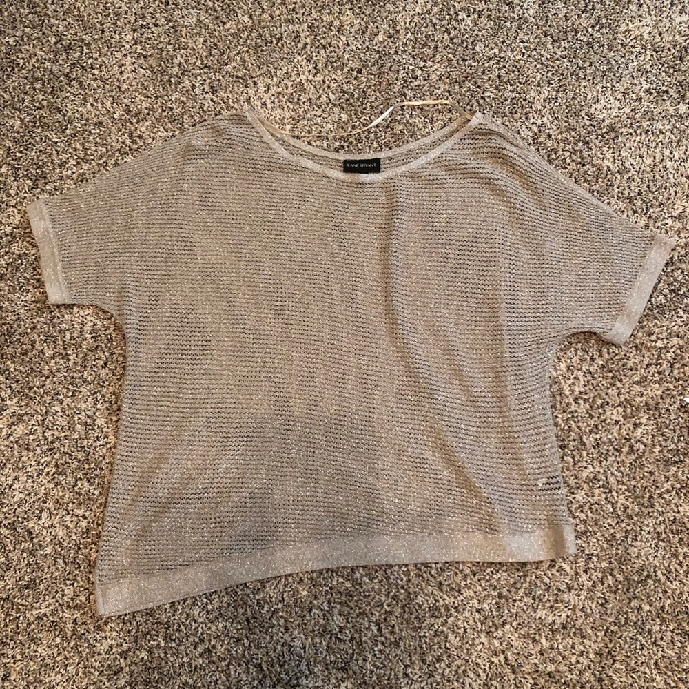 Lane Bryant Sparkly ‘mesh’ top